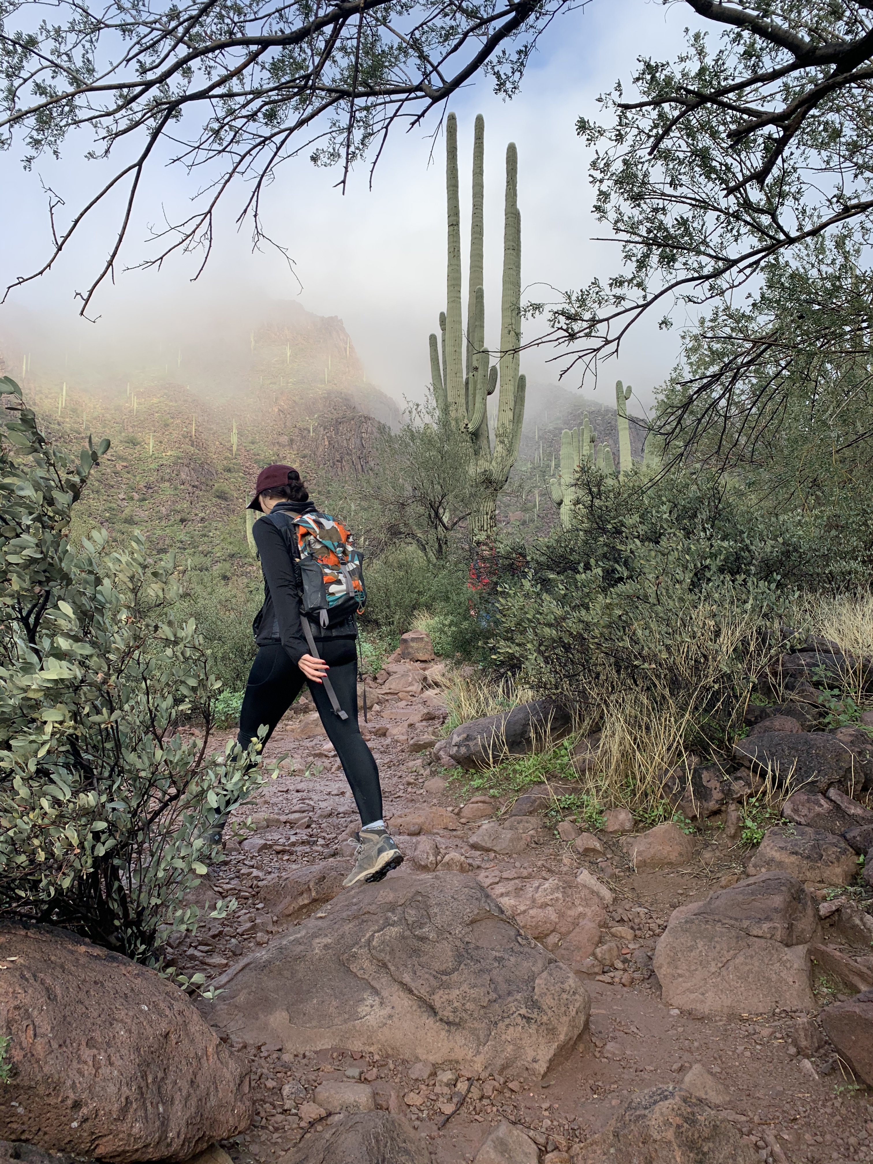 hiking the Hieroglyphic Trail in Gold Canyon, AZ
